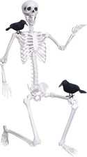 Wocst 6FT Life Size Posable Halloween Skeleton 2 Black Feathered Crows Set picture