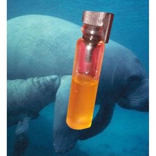 Rare Dugong Tears Love Charm Thai Malay Amulet for Attraction Wealth Prosperity picture