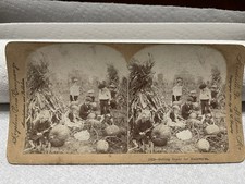 Vintage Stereoview Getting Ready For Halloween Carving Pumpkins Jack O Lantern picture