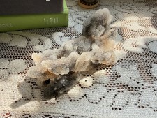 Natural Gray Botryoidal Chalcedony with Druzy Quartz • Stalactitic Chalcedony picture