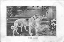 Vintage Russian Borzoi Postcard Well Mated 1911 Series III  - A18 picture