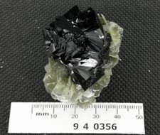 60g 44mm SUPERB BRIGHT Cassiterite & Muscovite China CM960356 picture