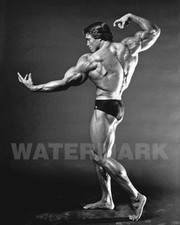 Famous Bodybuilder ARNOLD SCHWARZENEGGER 8x10 Photo Celebrity Actor Print Poster picture