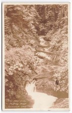 1939 RPPC Quinault Washington Home of Fighting Trout Stream Waterfall Postcard picture