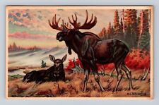 Moose, Animals, Antique, Vintage Souvenir Postcard picture