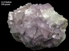 Fluorite, (Large) Unknown Location picture