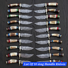 Set Of 10 Custom Handmade Damascus Steel Skinner Knives STAG HORN Handle W Cover picture