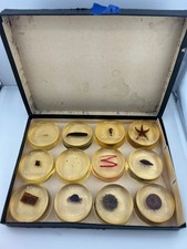 Complete Stansi Scientific D-100 Animal Kingdom 12 Resin Specimens Chicago picture