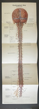 Very Rare Fold-Out color litho pamphlet “The Chemotherapy of Neurosyphilis” 1938 picture