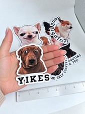 Funny Dog Fridge Magnets | Refrigerator Humor Stickers Set Of 8 Magnetic Decals picture