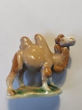 Wade Camel picture