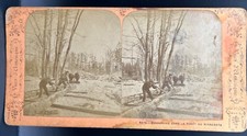 Minnesota Lumberjacks in Forest French Views of America Stereoview Photo picture
