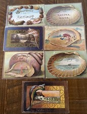 Lot of 7 Antique Souvenir Shells & Seashell Border~Postcards~s533 picture