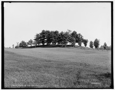 Photo:East Northfield Massachusetts Round Top Hills Trees c1900 picture