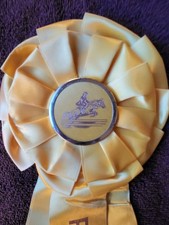 POST TIME Vintage Hunter Jumper Horse Show Ribbon Award Equestrian Event 1976 picture