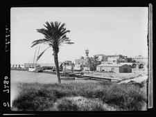 Photo:Latakia Syria 1930s Along the Bay Palm Tree Harbor Mosque Cityscape picture
