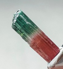 Bi colour non terminated tourmaline crystal -7 Carats picture