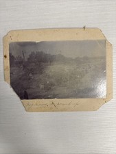 ORIGINAL Texas Cowboy Photograph Beginning A Round-Up Cattle Drive Christour, TX picture
