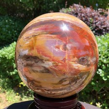 5410g  Polished Natural Petrified Wood Sphere Mineral Specimen Auction  MH5660 picture
