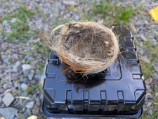 Bird Nest Collectible or For Crafting picture