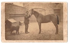 Man holding a horse in farmyard with his dog circa 1875 Photo CDV picture
