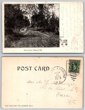 Magog Quebec Canada Pine Avenue Tree Lined Unpaved Dirt Road Postcard picture