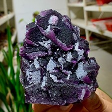 479G Natural Crystal Rare Transparent Purple Cube Fluorite Specimen/China picture