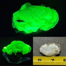 BRILLIANT LW/SW  FLUORESCENT GREEN HYALITE OPAL NODULE,  MEXICO picture