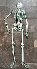 Vintage Jointed Skeleton Halloween Die Cut Beistle Co. U.S.A. 57” picture