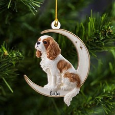 New Personalized Cavalier King Charles Spaniel Dog on Moon Gift For Fans  SK677 picture