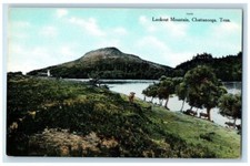 c1910 Lookout Mountain Animals Scene Chattanooga Tennessee Old Photo picture