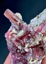 Bi Colour Tourmaline Crystal From Afghanistan 504 Carat picture