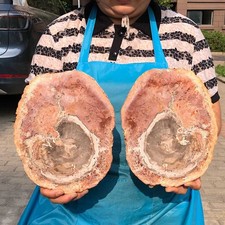 2pcs 6.93LB Natural Petrified Wood Crystal Fossil Slice Crystal Specimen 6168 picture