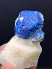 Lazurite Specimen: Royal Blue Crystals from Afghanistan picture