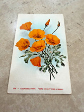 Vintage California Poppy Copa De Oro Cup Of Gold Postcard picture