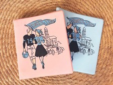 Vintage PONYTAIL DATELINE 3-Ring Binders • Lot of 2 TWO Bubblegum Pink & SkyBlue picture