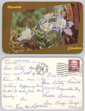 1974 Mountain Columbine Flowers Postcard Denver Colorado Sanborn Dexter Press picture