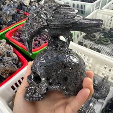 1pc Natural Yooperlite Quartz carved Bird Crystal skull reiki Healing decor picture