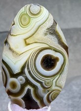 👀 Mongolian Desert Gobi Dessert 10 Eye Agate Palm Stone, Silkworm Lines ✨🔥 picture