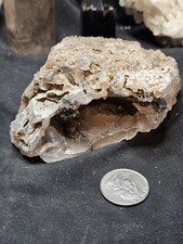 Pink Limb Cast w/ Botryoidal and Dendric Specimen Natural Form (14oz) (PNW Item) picture