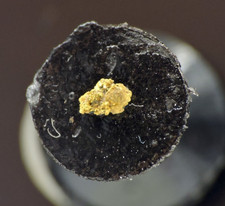 Native Gold Micro Mineral Specimen *Sierra Nevada Mountains, California* picture