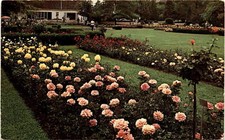 Jackson & Perkins, rose garden, Newark, New York, Lake Ontario, Postcard picture