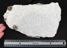HUNDREDS of Blade Shaped BARITE Crystals BIG MUSEUM Cluster Mexico 2266gr picture