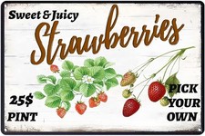Sweet Juicy Strawberries Tin Metal Signs Home Décor funny metal. For kitchen picture
