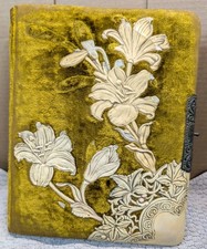 Antique Victorian Celluloid Velvet Photo Album 23 Cabinet Cards CDV Iowa Photos picture