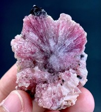 192 Carat Pink Bunch Of Tourmaline Crystal Specimen From Afghanistan picture