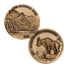 GLACIER NATIONAL PARK 1910 BRONZE CHALLENGE COIN picture