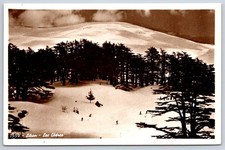 Antique Lebanon Postcard BSHARRI Cedars of God Snow Scene RPPC picture