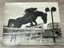 1940s Vintage 8x10 Horse Show Photo English Rider Jumping Equestrian Cars picture