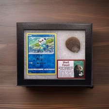 Oshawott Pokémon Card With Authentic Shell Fossil Devonian Era Display With COA picture
